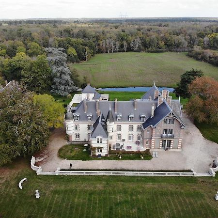 Chateau De La Faye Menetreol-sur-Sauldre Exterior foto