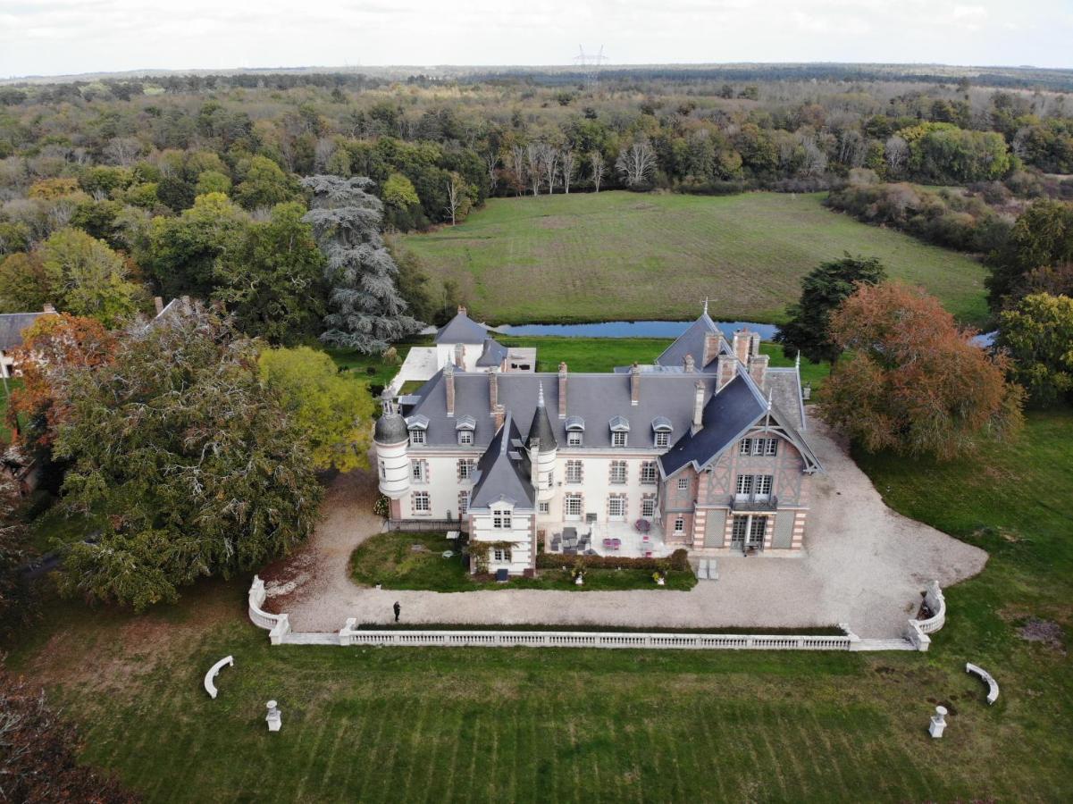 Chateau De La Faye Menetreol-sur-Sauldre Exterior foto