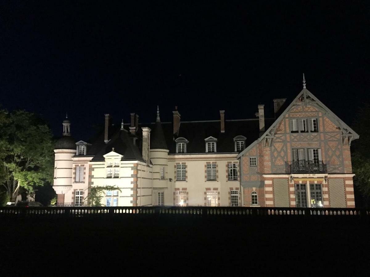Chateau De La Faye Menetreol-sur-Sauldre Exterior foto